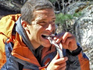 Bear Grylls Eats A Snake